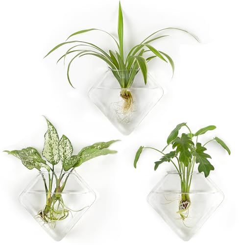 Mkono Wall Planter Hanging Propagation Stations Flower Vase Glass Pots Holder for Hydroponic Plants, Indoor Home Office Living Room Bathroom Decor Gifts, 3 Pack