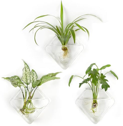 Mkono Wall Planter Hanging Propagation Stations Flower Vase Glass Pots Holder for Hydroponic Plants, Indoor Home Office Living Room Bathroom Decor Gifts, 3 Pack