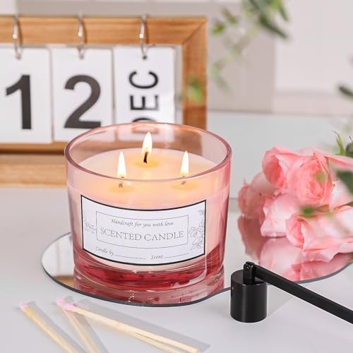 CONNOO 6 Pack 16oz Pink Wide Mouth Glass Candle Jars | Come with Metal Lids Sticky Warning Labels and a Candle Wick Kit for Candle Making- Dishwasher Safe - color: 6 Pack-Shiny Pink