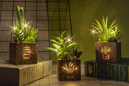 Artificial Succulents with LED Lights, Set of 3 Fake Plants in Wooden Boxes for Indoor Home Decor, Desk, Shelf, Bedroom and Office