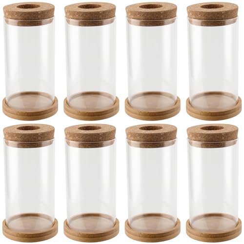 HOZEON 8 PCS Glass Planter Vase, Desktop Plant Terrarium, Tabletop Propagation Station Hydroponic Glass Planter for Office and Home Table Decorations