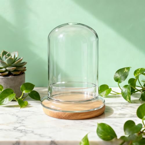 2 Pcs 5.9 x 8.46 Inch Glass Terrarium with Airhole and Base Clear Glass Dome Planter Display Container Plants Not Included for Office Desk, Balcony, Coffee Table