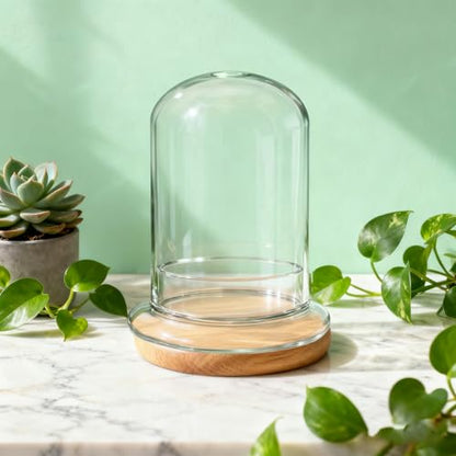 2 Pcs 5.9 x 8.46 Inch Glass Terrarium with Airhole and Base Clear Glass Dome Planter Display Container Plants Not Included for Office Desk, Balcony, Coffee Table