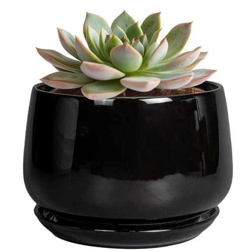 G EPGardening 6 Inch Planter, Ceramic Pot for Plants, Black | Ceramic Planter with Drainage and Saucer, Round Flower Pot Indoor Plants, Modern Room Decor, Home Gifts - color: Black, size: 5 Inch