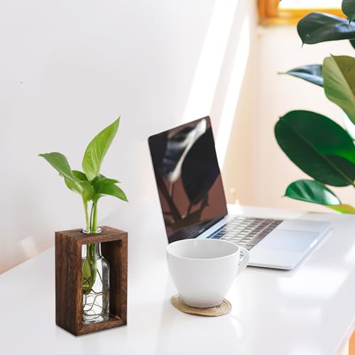 Rustic Wooden Plant Propagation Station with Visibility and Easy Maintenance, Hydroponic Glass Vase Planter for Plants, for Coffee Tables and Tabletop Decor