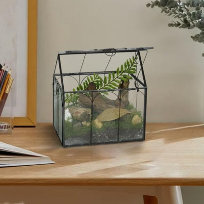 FerrisIsland Glass Plant Wardrobe Indoor Small Succulent Aquarium | FerrisIsland glass plant small succulent aquarium with desktop decoration DIY door (6 in long x 4.3 in wide x 6.3 in high) - size: 6" L x 4.3" W x 6.3" H