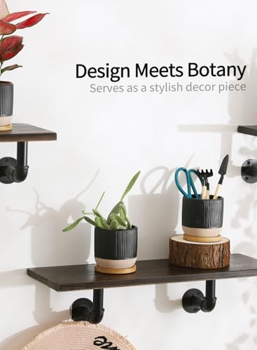 4" Black Ceramic Plant Pots with Drainage Holes & Trays Set of 4 | Vertical Stripes Succulent Pot with Saucer, Small Flower Planter Sets for Indoor Plants, Cactus & Herbs - color: Vertical Stripes - Black