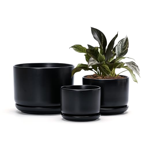 Flower Pots,Ceramic Pots with Drainage Holes & Saucer Set of 3(Matte Black) | Planters for Indoor Plants | Small Succulent Pots | Cute Pots for Plants | Ceramic Planter | 4+5+6.5 Inch Garden Pots - color: Matte Black
