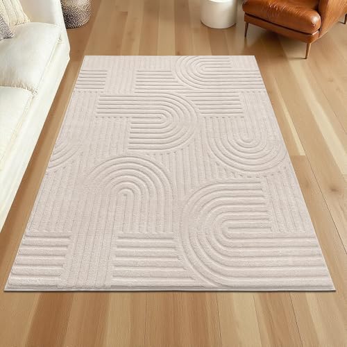SHACOS Soft Cozy Fluffy Arch Rugs 4'x5'3" Non Slip Washable Modern Geometric Area Rug High Low Pile Stain Resistant Contemporary Carpet for Living Room Bedroom Dining Room, Beige - color: Beige, size: 4'x5'3"