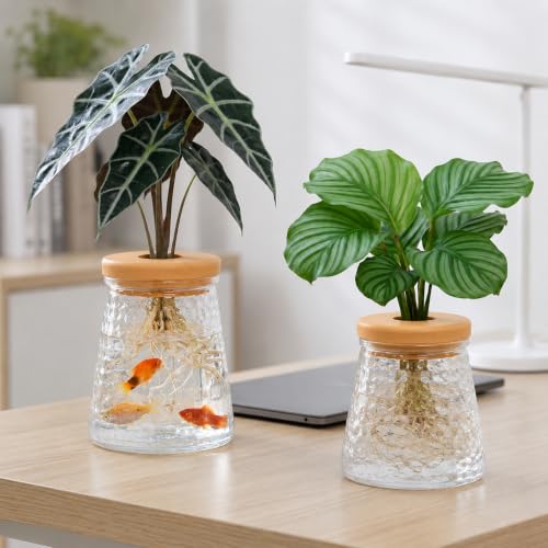 Desktop Hydroponic Plant Vase, Transparent Water Plant Jars with Lid, Plants Container for Desk, Indoor, Home, Office Decor and Outdoor for Gardening Gifts to Plants Lovers, Dots Clear - color: Clear Dots-bell