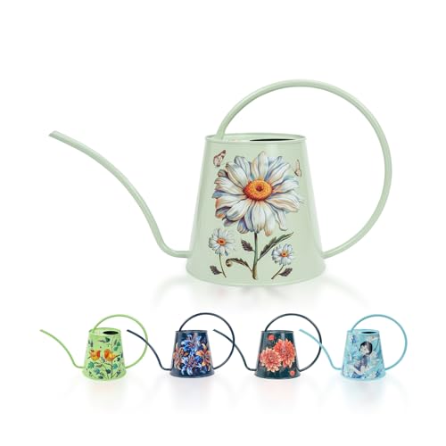 Berry&Bird 2L Long Spout Watering Can, Stainless Steel (Bellis Perennis) | 2L stainless steel watering can, long narrow spout, elegant print, curved handle, leakproof, houseplant watering & decor - color: Bellis Perennis