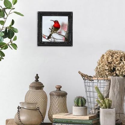 6x6 Picture Frame Made of Solid Wood High Definition Glass Rustic Antique Designs Small Photo Frame for Tabletop Display and Wall Mounting, Distress Black - color: Distress Black B, size: 6" X 6"