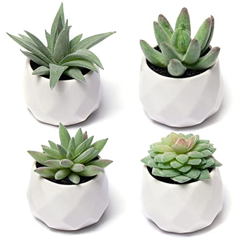 CADNLY Fake Succulent Plant Set - Artificial Plants for Women Desk - Realistic Faux Succulents in Ceramic Pots - Mini Green Decor for Bedroom Bathroom Office Shelf 4 Pack