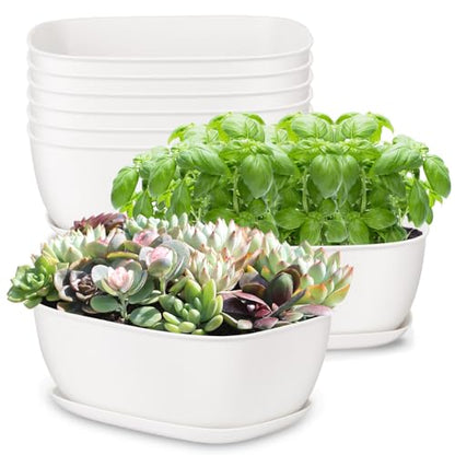 Set of 8 White Oval Shallow Herb Garden Planters with Drainage Holes and Trays (8.66 Inch) Plant Pots for Herbs Basil Orchids Succulents, Modern Herb Garden Planter for Indoor/Outdoor Plants - size: 8.66 x 6.1 x 3.39-inch
