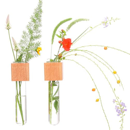 Wooden Wall Planter Glass Plant Propagation Stations Fridge Glass Tube Single Stem Bud Vase 2Pcs/Set Modern Decorative Cube Wood Window Flower Vase Refrigerator Magnetic Mini Glass Vase with Dropper