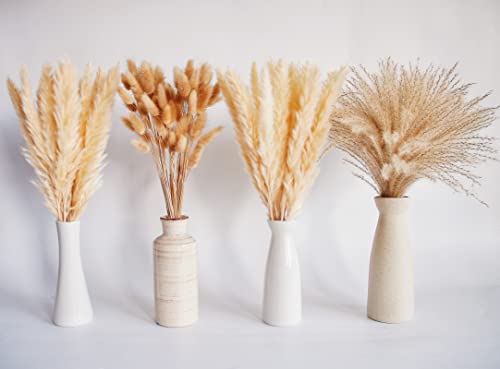 Natural Dried Pampas Grass Decor, Beige Pampas Grass, Bunny Tails Dried Flowers, Reed Grass Bouquet for Wedding Boho Flowers Home Table Decor, Rustic Farmhouse Party (100 in Total ) - size: 100PCS-Beige