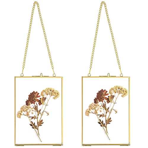 JUXYES 4x6 Hanging Double Glass Floater Picture Frame for Pressed Flowers | 2 Pack Vertical Brass Hanging Frame with Chain for Dried Flowers, Gold Floating Frame Ornament for Post Card, Plant, DIY - color: Vertical, size: 4" x 6"