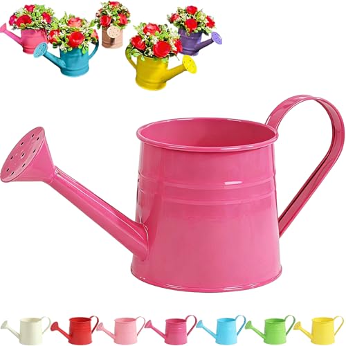 Tinplate Watering Kettle 1L, Mini Metal Watering Can with Long Spout and Handle, Vintage Flower Sprinkling Can for Indoor Plants, Patio and Garden Use (Hot Pink-A03) - color: Hot Pink-a03