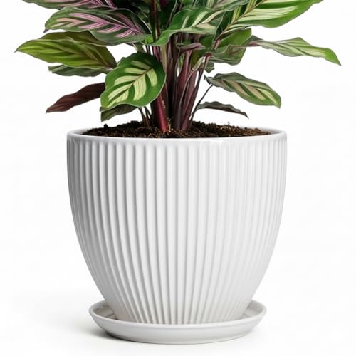 Ceramic Pots for Plants, 6 Inch Plant Pot with Drainage Hole and Saucer, Round Ceramic Flower Pots for Indoor Plants, Modern Small Succulent Planter, Room Home Decor, Plant Lover Gifts, White - size: 6 Inch, style: White