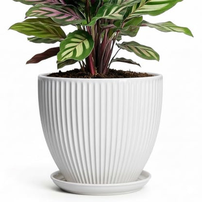 Ceramic Pots for Plants, 6 Inch Plant Pot with Drainage Hole and Saucer, Round Ceramic Flower Pots for Indoor Plants, Modern Small Succulent Planter, Room Home Decor, Plant Lover Gifts, White - size: 6 Inch, style: White