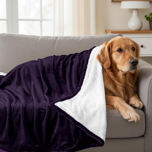 Utopia Bedding Reversible Plush Sherpa Blanket Throw Size Plum, 50x60 Inch | Soft, Warm, Fleece, Bed, Sofa, Couch, Camping, Travel, Cozy, All Season - color: Plum, size: Throw (50x60 Inch)