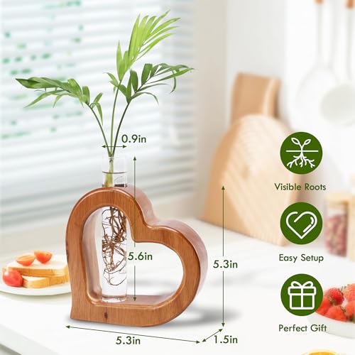 Glass Test Tube Plant Propagation Station Wooden Terrarium Holder | Wall Hanging for Indoor Water Plant Rooting, Wall Home Decor, Thoughtful Gardening Gift for Mom and Plant-Loving Women - size: 5.3*5.3IN