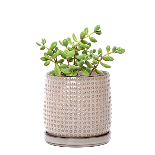 D'vine Dev Beaded Ceramic Pot with Saucer, 4 in, Light Brown, 27-C-Z-4 | Embossed Dot Texture, Smooth Glazed Finish, Timeless Vintage Charm, Drainage Holes, Stylish Accent for Modern Home Décor - color: Light Brown, size: 4.3 Inch