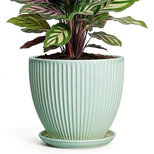 Ceramic Pots for Indoor Plants, 6 Inch Plant Pot with Drainage Hole and Saucer, Round Modern Planters, Decorative Pots for Plants, Home Living Room Decor, Gifts for Plant Lovers, Mint Green - size: 6 Inch, style: Mint Green