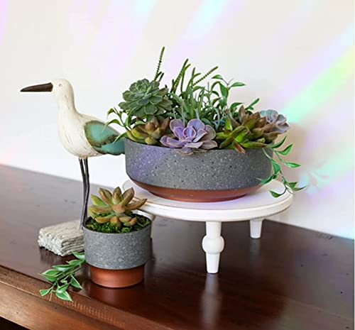 The HC Companies 8 Inch Round Plastic Succulent Capri Bowl 8"x8"x3" in Faux Concrete Color with Copper Band - color: Faux Concrete W/Copper, size: 8"