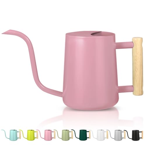 Watering Can Indoor Plants, 35oz Small Indoor Stainless Steel Metal Watering Can Modern Decorative Watering Pot with Long Spout for Indoor House Plant Bonsai Garden Flowers (Pink) - color: Pink