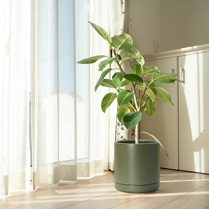 D'vine Dev 10 Inch Ceramic Planter Pot, Olive, 94-O-E-J | Modern Cylinder Design, Drainage Hole & Saucer Included, Stable Structure, Elegant Home Accent - color: Olive, size: Large