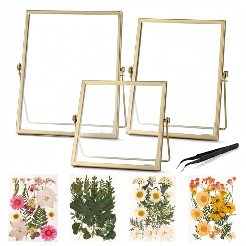 Relaxing Garden Pressed Flower Frame Kit, 3 Frames, 68 Flower Pieces | Three gold double-glass tabletop frames in 6x6, 6x8 and 7x9 sizes, with tweezers for flowers, photos and flat keepsakes.