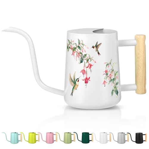 Watering Can Indoor Plants, 35oz Small Stainless Steel Metal Watering Can Modern Decorative Watering Pot with Long Spout for Indoor House Plant Bonsai Garden Flowers (White 1) - color: White 1