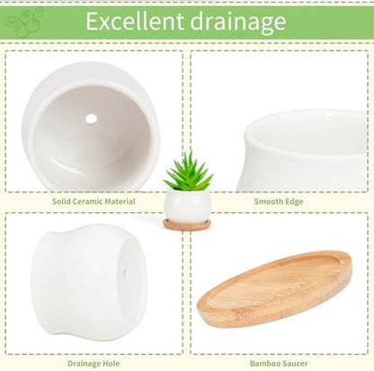 SHECIPIN 2 Pack Succulent Pots, 2.5 Inch Mini Ceramic Pots for Flower or Cactus Plants with Drainage Hole,Plants Not Included (White) - color: 2 Pack White Mini Pots