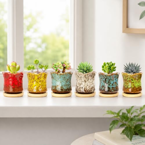 Succulent Pots with Drainage Tray, Cute Ceramic Pots for Plants Set of 6 - color: 2.8"colorful - 6pcs