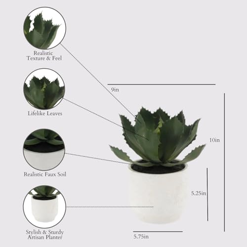 CG Hunter Round Faux Succulent Arrangement, Set-of-2 Premium Artificial Indoor Plants Enhances Interior Design, Display on Any Surface in Your Home Adding an Inviting Touch of Nature, Pots Included - size: 10" Round Set-of-2