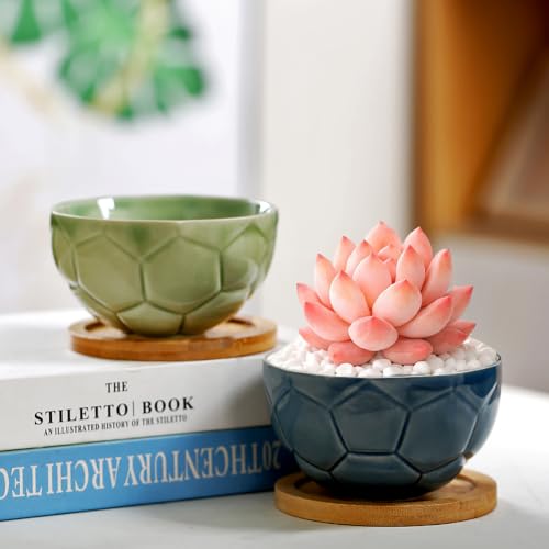YYW Ceramic Succulent Planter, 4 Pack Cute Garden Pots with Drainage and Attached Saucer - color: Light Ceramics