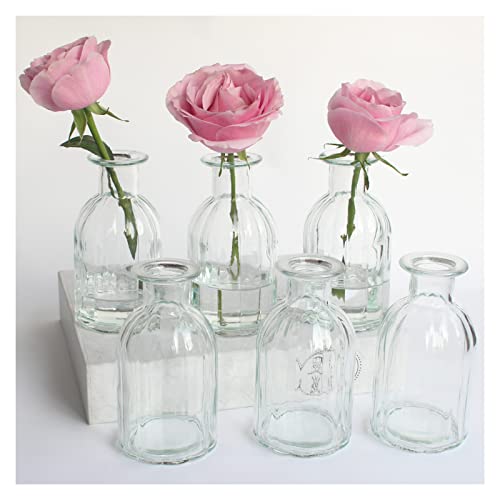 Bud Vases Set of 6 Small Glass Vase for Flowers, Clear Vase Set | for Wedding Decor, Home Decorative Vases for Table Shelf, Mini Bud Vases in Bulk 2.85"X 5.4" - size: 6 Pcs