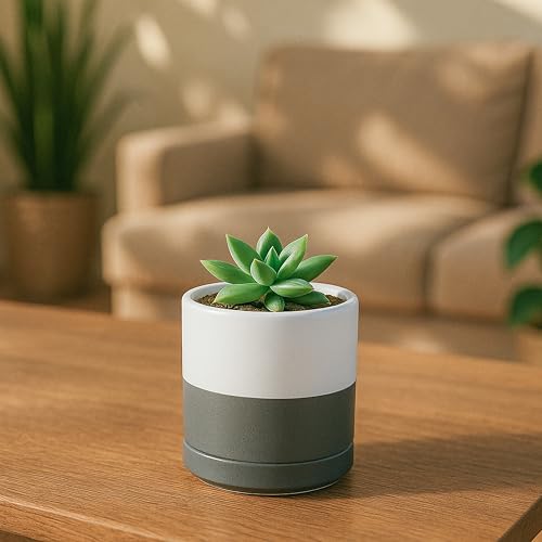 D'vine Dev 3-Pack Ceramic Pots with Saucers, 3/4/6 in, White/Grey, 94-T-S-6 | Glazed Ceramic, Drainage Hole, Perfect-Fit Saucer, Sleek Cylinder Shape, High Temperature Fired, Elegant Home Accent - color: White/Speckled Grey, size: 3"+4"+6"