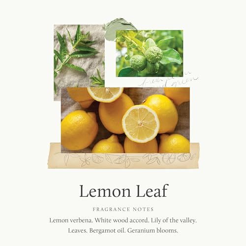 Thymes Petite Reed Diffuser - 4 Fl Oz - Lemon Leaf