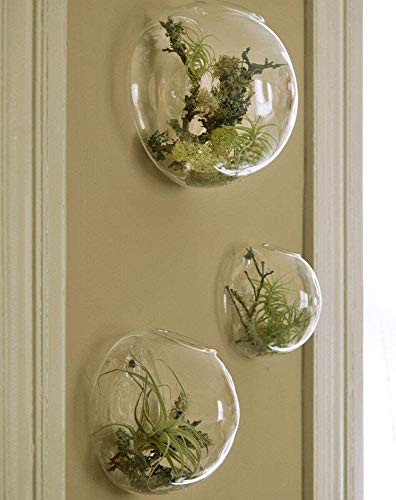 Set of 3 Wall Hanging Terrariums Indoor Plants Holders Wall Glass Vase for Flowers Planters for Succulents Air Plants Wall Mounted Decoration for Sunroom Living Room