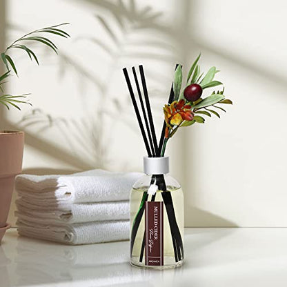 Aronica Christmas Tree Diffusir Oil Cinnamon, Mulled Spice Apple Oil with Sticks, Winter Candy Scented Reed Diffuser, Home Fragrance Decor - color: Mulled Cider