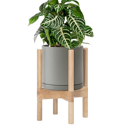 D'vine Dev Ceramic Pot with Natural Wood Stand, Grey, 8 in, 55-B-N-3 | Mid-Century Modern Design, Raised Plant Display, Solid Beech Wood Stand, Premium Craftsmanship, Sophisticated Home Decor - color: Grey Pot + Natural Stand, size: 8 Inch