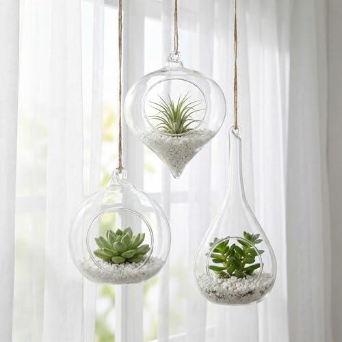 Zopeal 3 Pack Glass Hanging Planter Air Fern Holder Terrarium Plants Hanger Vase and 3 Pcs Wall Planter Propagation Stations Glass Flower Vase for Plant Lovers Gifts Home Christmas Hydroponic Plants