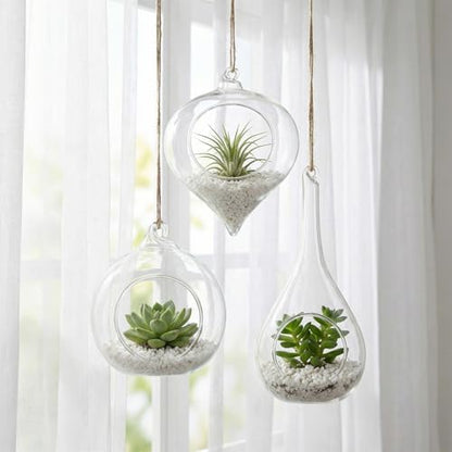 Zopeal 3 Pack Glass Hanging Planter Air Fern Holder Terrarium Plants Hanger Vase and 3 Pcs Wall Planter Propagation Stations Glass Flower Vase for Plant Lovers Gifts Home Christmas Hydroponic Plants