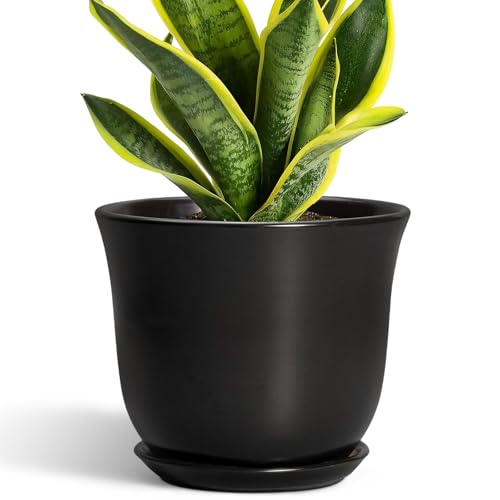 8 Inch Plant Pot - Ceramic Pots for Plants with Drainage Hole and Saucer, Round Planter for Indoor Outdoor, Modern Flower Pot, Gifts for Plant Lovers, Home Room Garden Porch Decor, Black - color: Black, size: 8 Inch