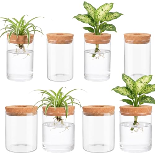 Kifmurase 8pcs Glass Propagation Stations, Desktop Glass Flower Vases for Propagating Hydroponic, 4 Large & 4 Small Propagation Vase for Plant Growing Hydroponic Indoor Home Office Tabletop Decor