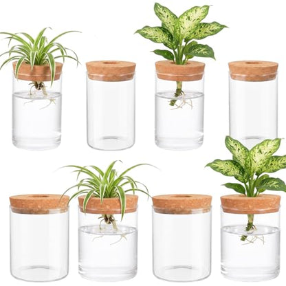 Kifmurase 8pcs Glass Propagation Stations, Desktop Glass Flower Vases for Propagating Hydroponic, 4 Large & 4 Small Propagation Vase for Plant Growing Hydroponic Indoor Home Office Tabletop Decor