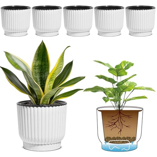 T4U Self Watering Pots for Indoor Plants, 6 Inch 6 Pack Planter White | African violet pothos ferns, Herb garden kitchen, Bottom feed reservoir, Easy care maintenance - color: White, size: 6 Inch