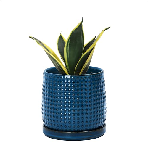 D'vine Dev Beaded Ceramic Pot with Saucer, 4 in, Midnight Blue, 27-C-Z-3 | Embossed Dot Texture, Smooth Glazed Finish, Timeless Vintage Charm, Drainage Holes, Stylish Accent for Modern Home Décor - color: Midnight Blue, size: 4.3 Inch